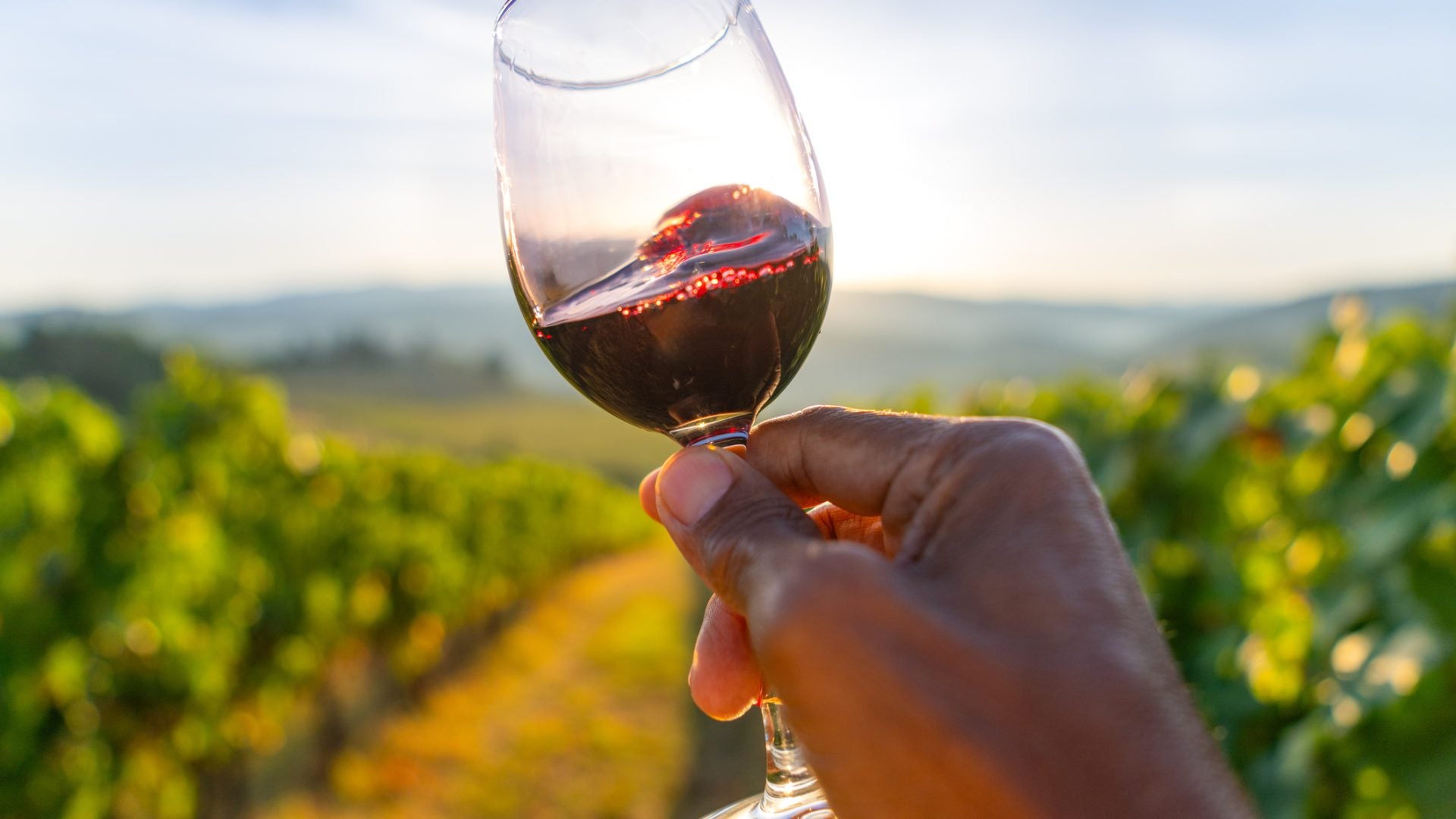 The Black Wine History You Should Know Before Your Next Glass